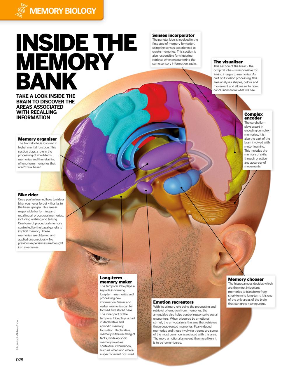 How It Works Bookazine Preview Pages