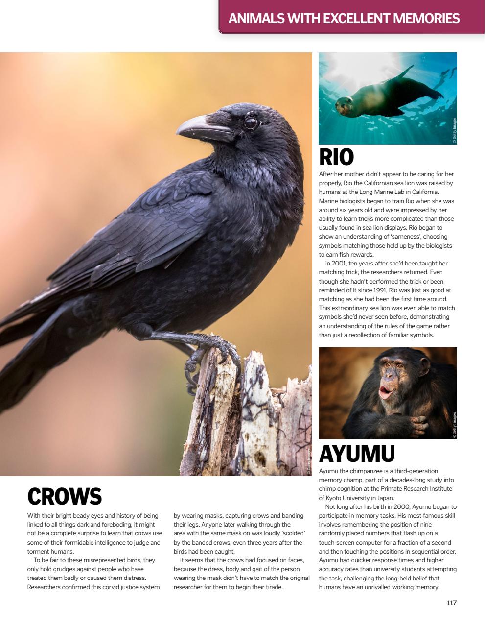 How It Works Bookazine Preview Pages