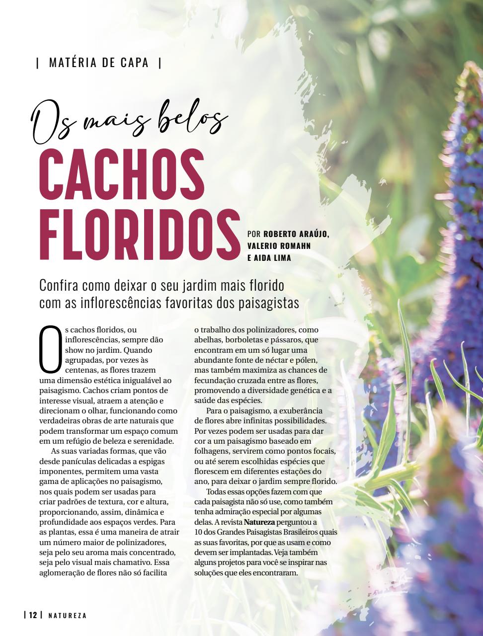 Natureza Preview Pages