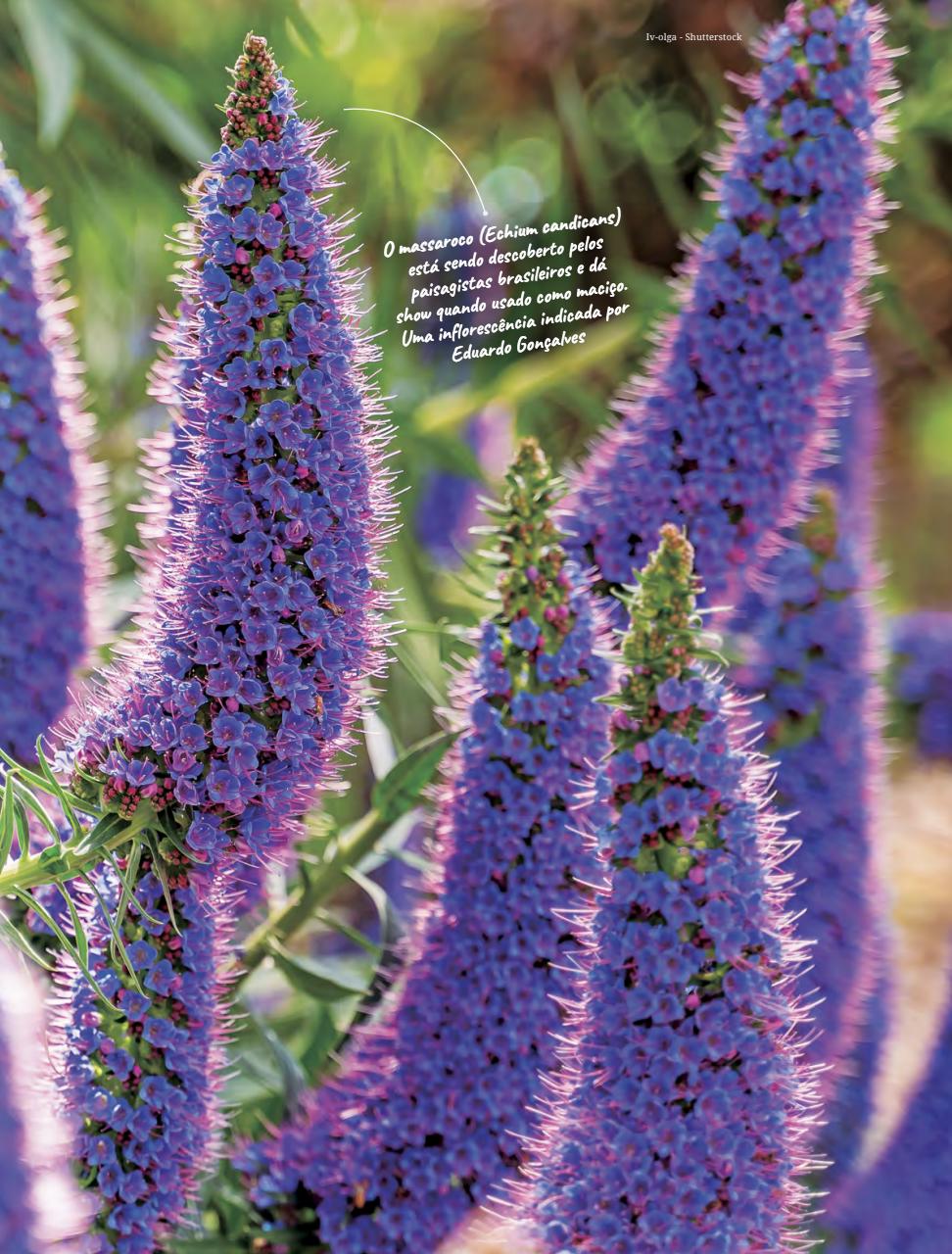 Natureza Preview Pages