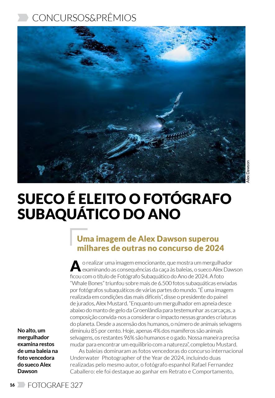 Fotografe Preview Pages