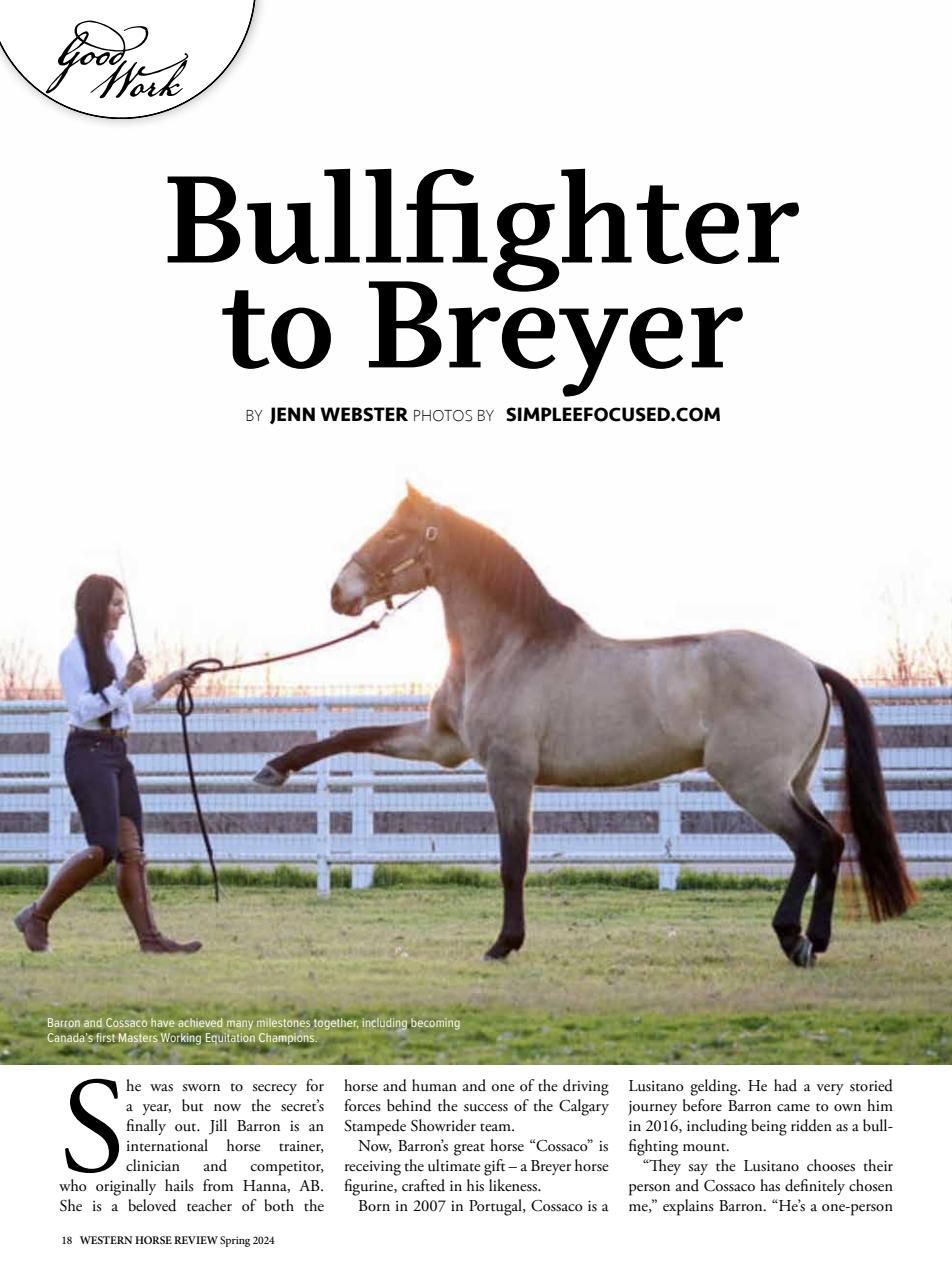 Western Horse Review Preview Pages