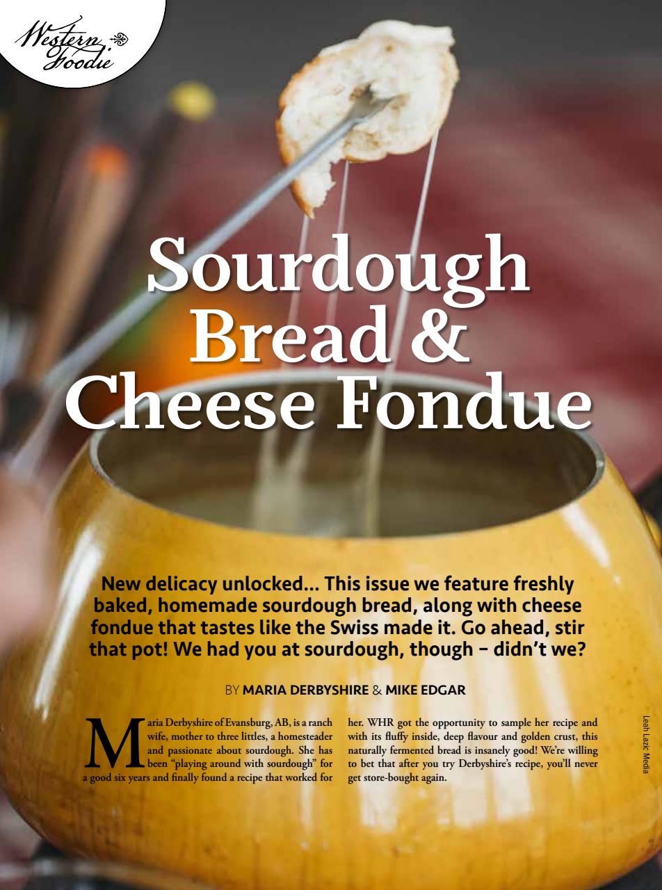 Western Horse Review Preview Pages