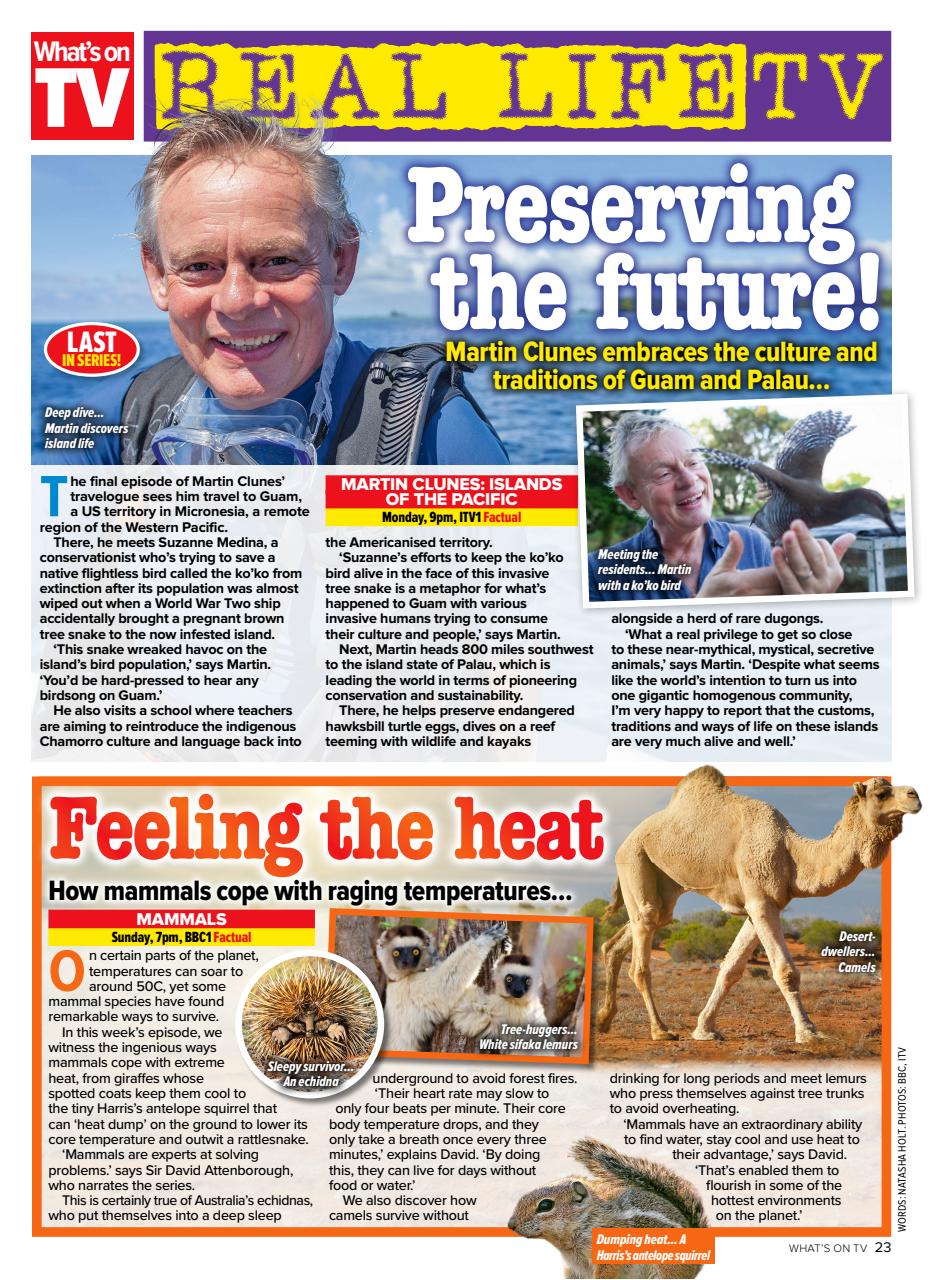 What's on TV Preview Pages