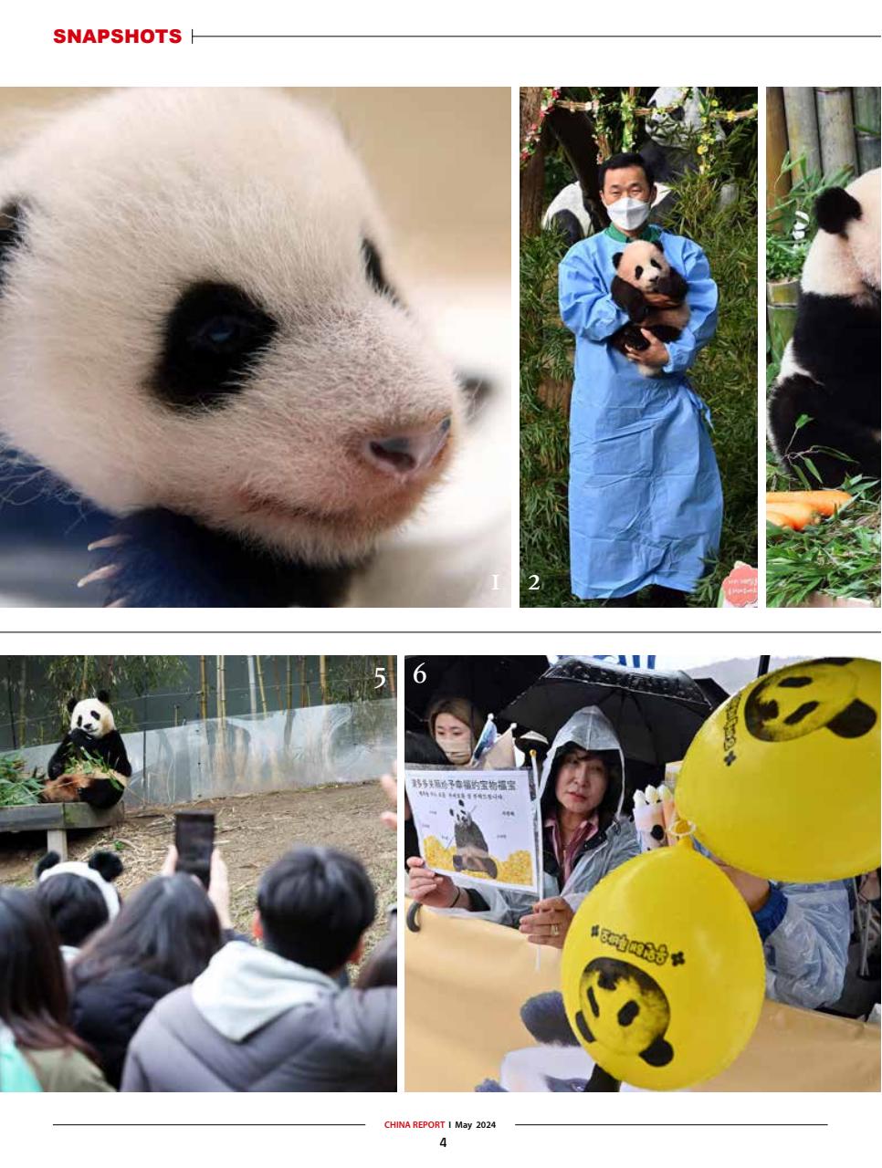 China Report Preview Pages