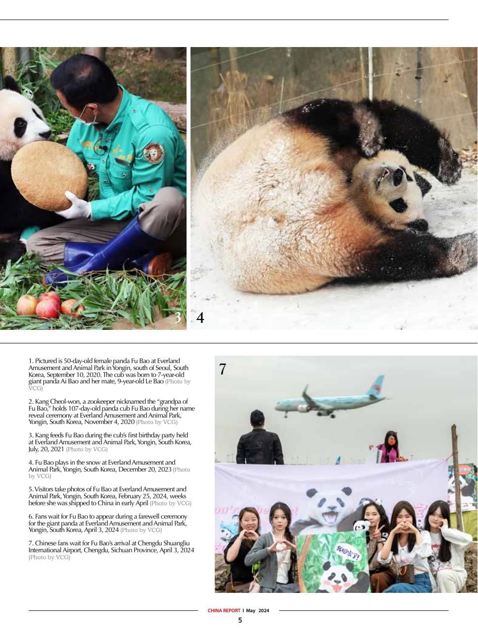 China Report Preview Pages