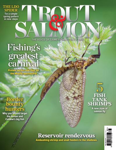 Trout & Salmon issue 