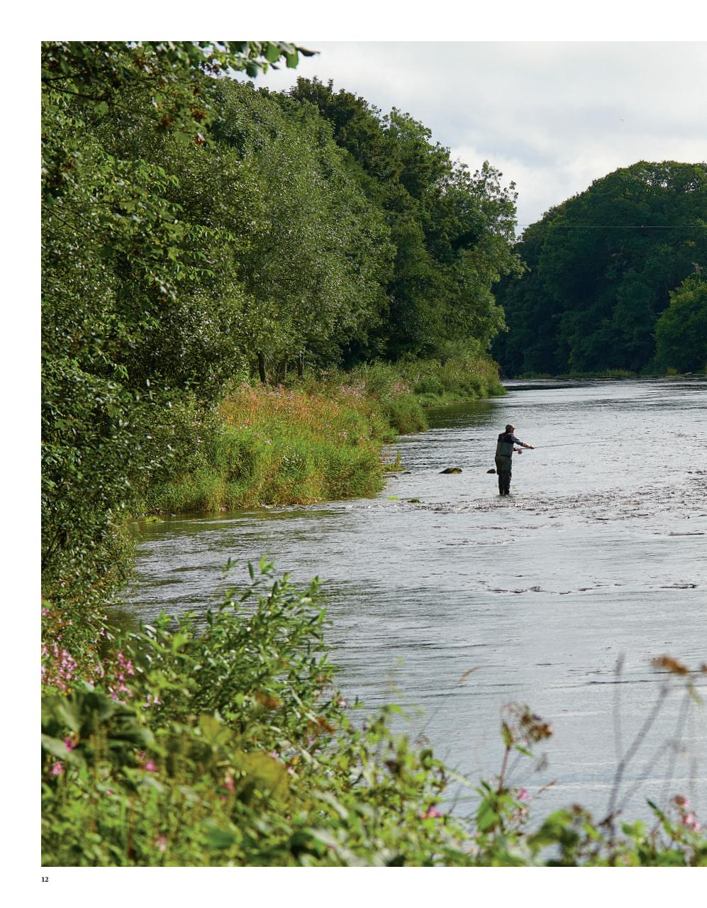 Trout & Salmon Preview Pages