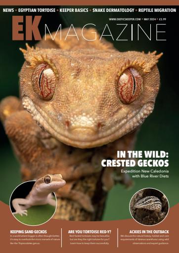 Exotics Keeper issue 