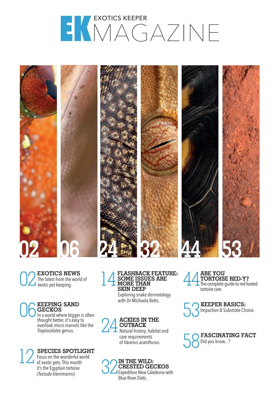 Exotics Keeper Preview Pages