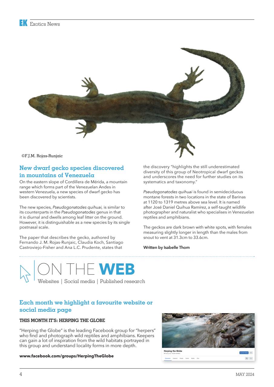 Exotics Keeper Preview Pages