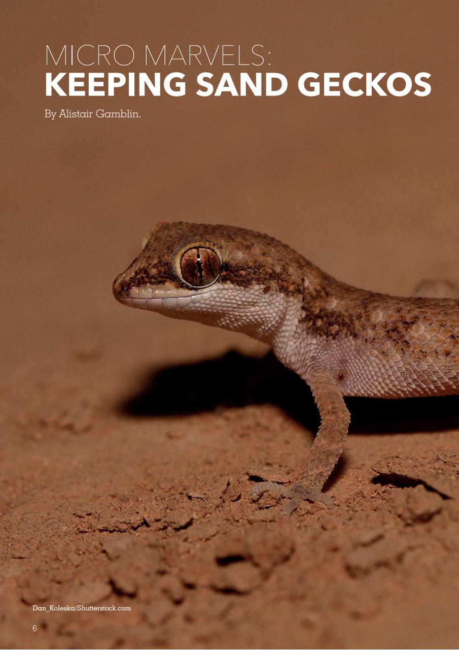 Exotics Keeper Preview Pages