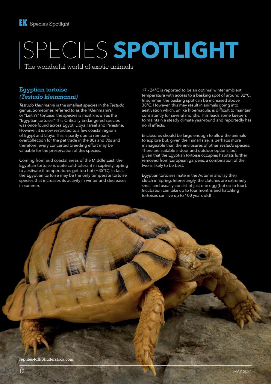 Exotics Keeper Preview Pages