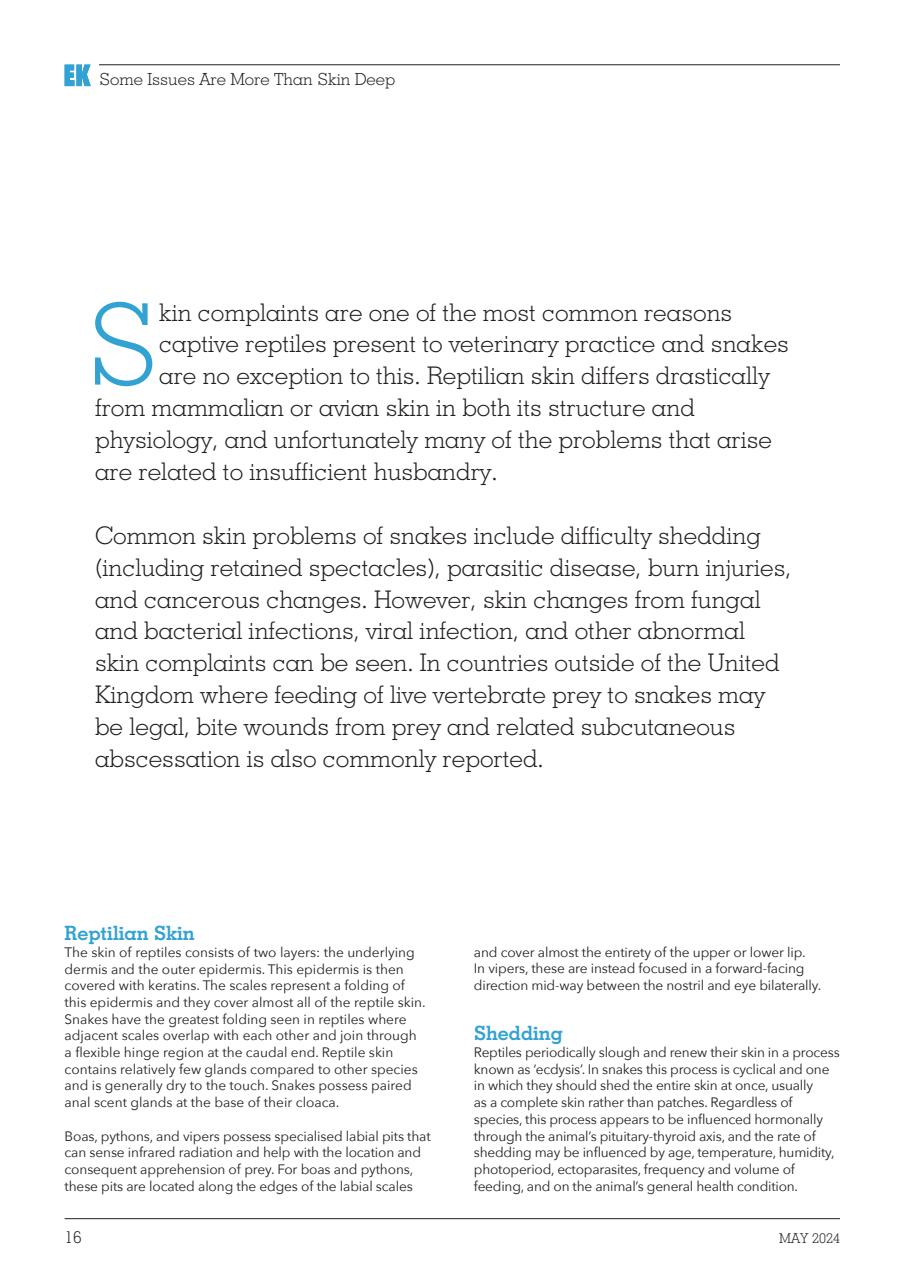 Exotics Keeper Preview Pages