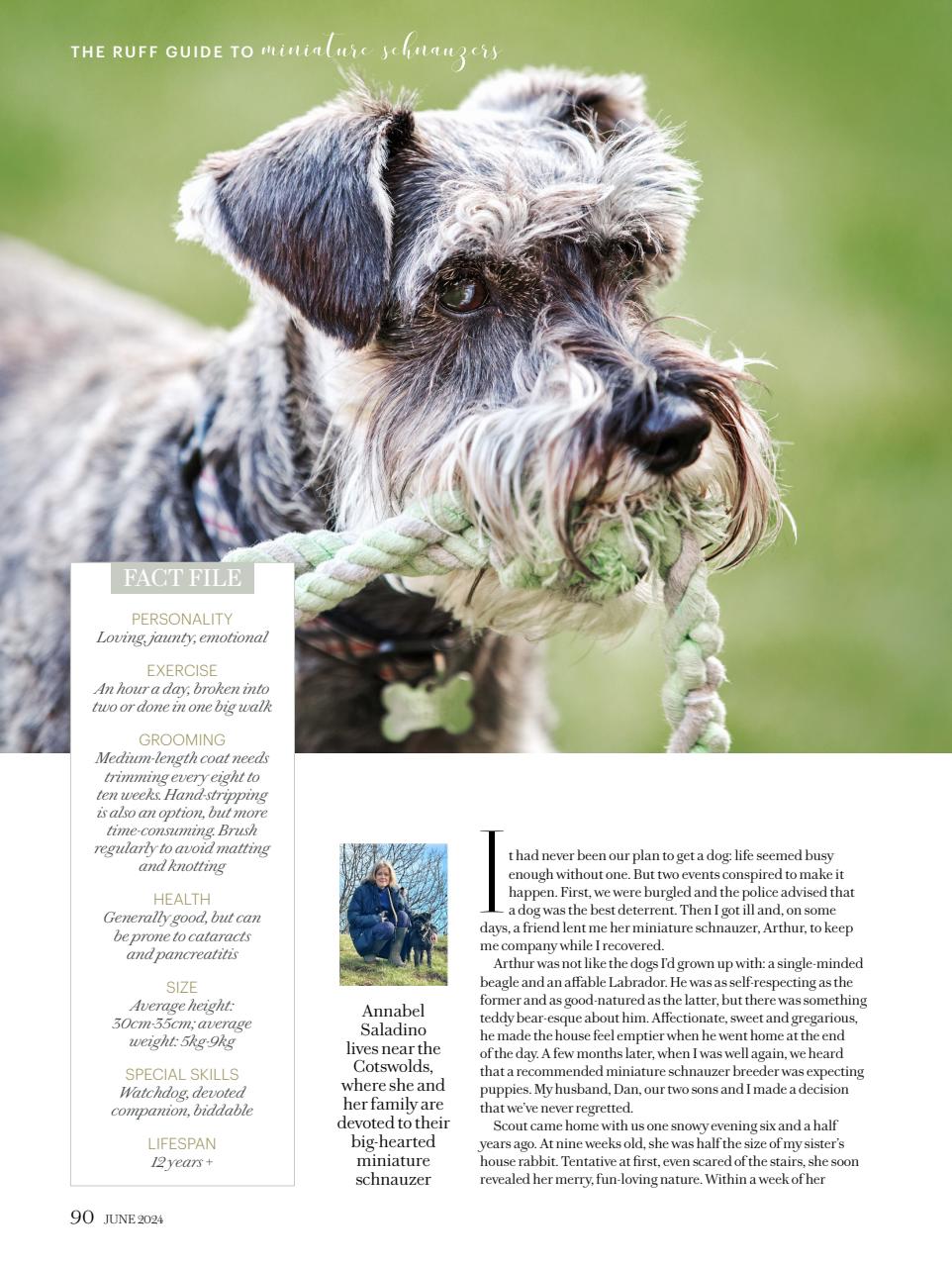 Country Living Preview Pages