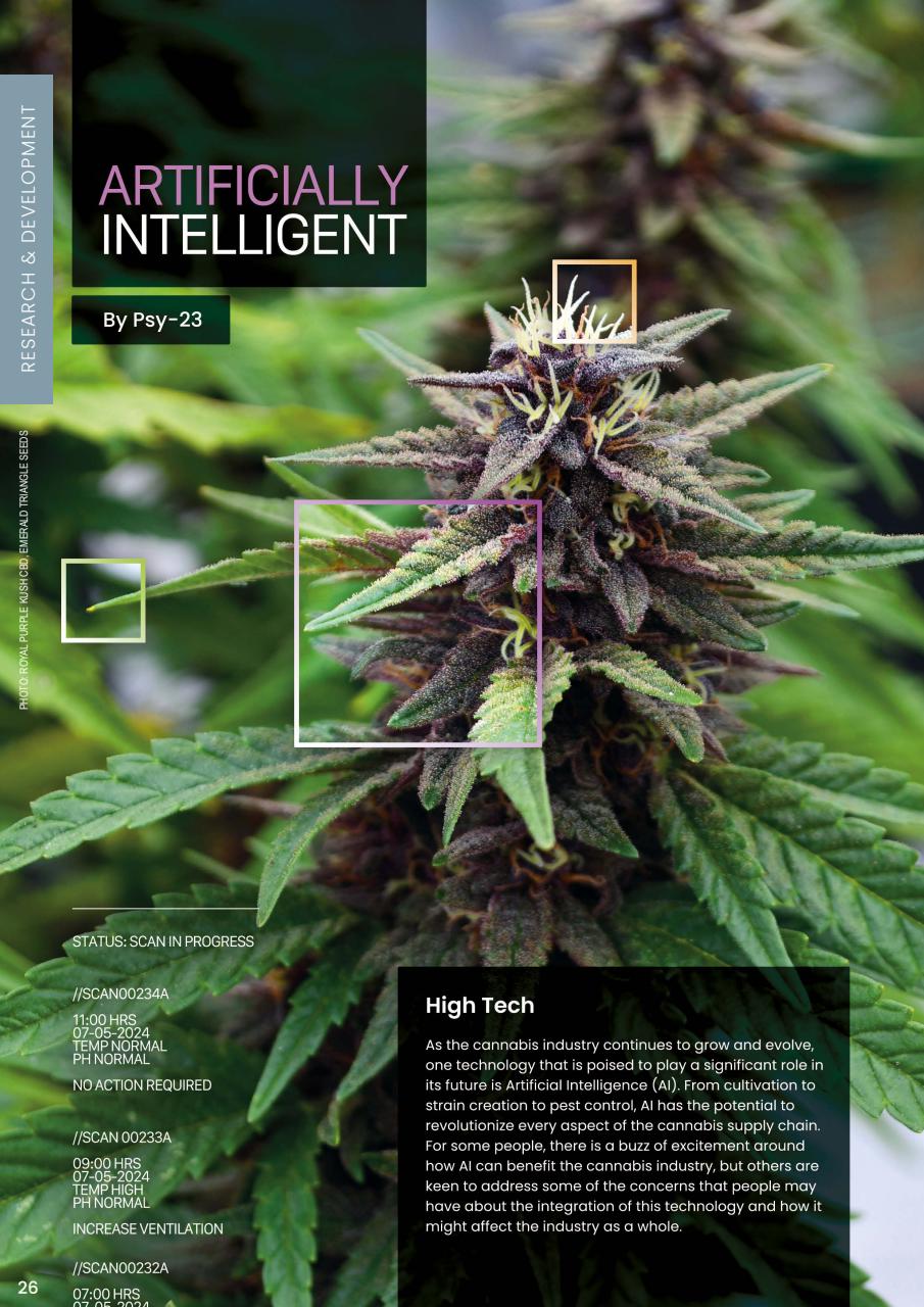 Weed World Preview Pages