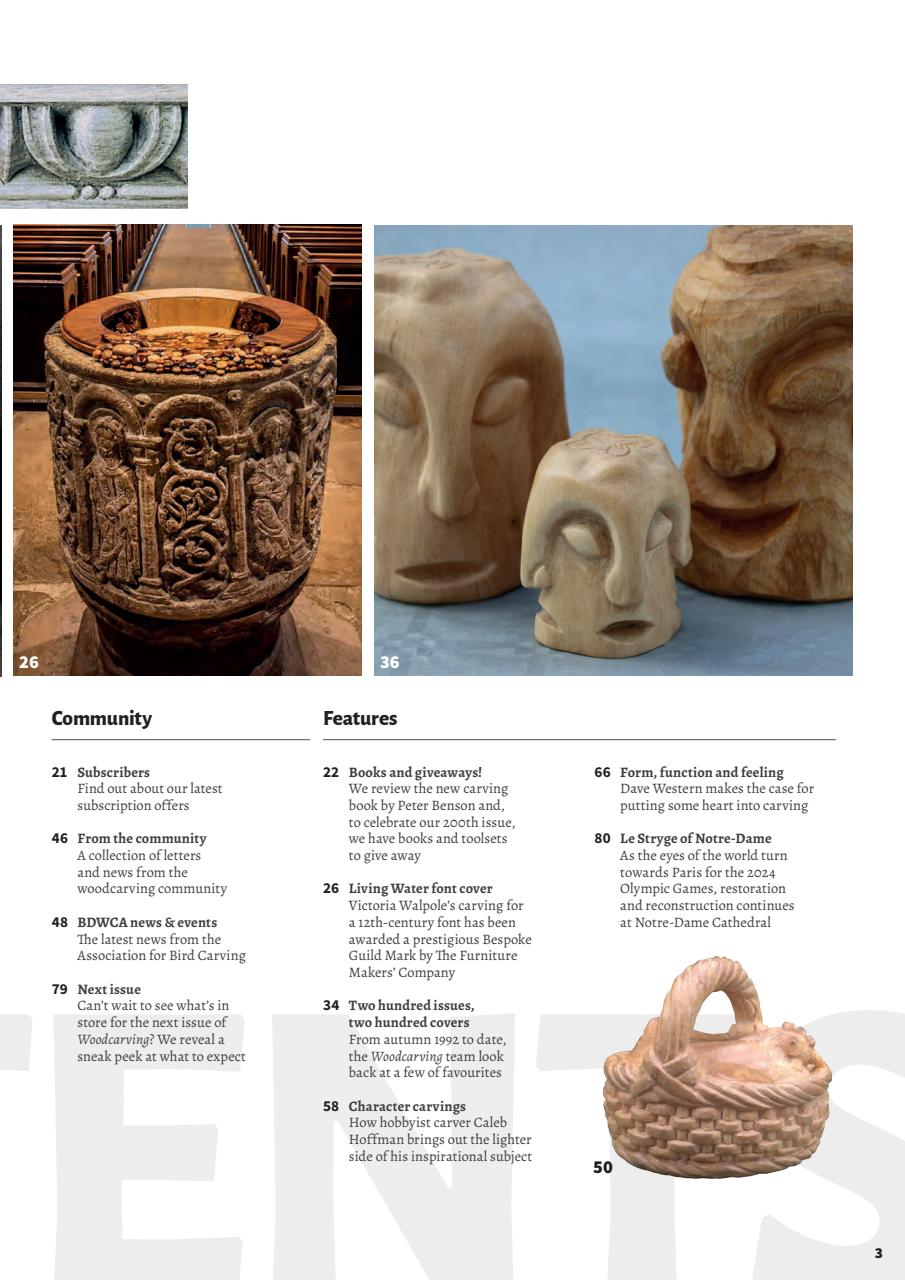 Woodcarving Preview Pages