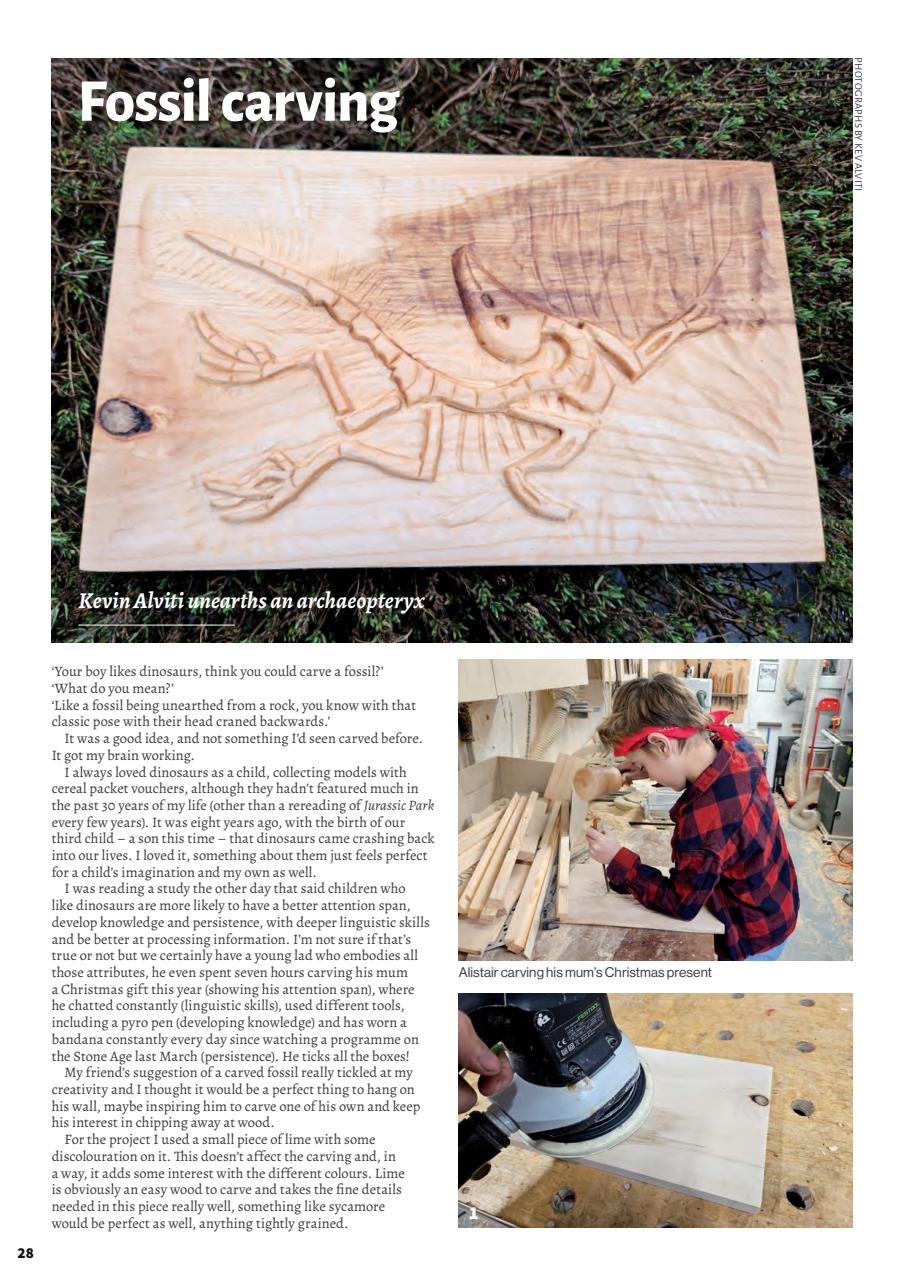 Woodcarving Preview Pages