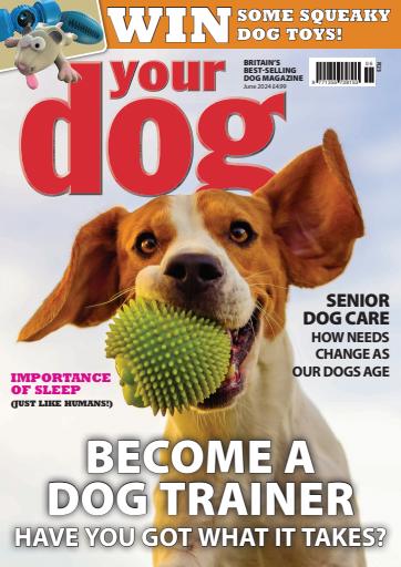 Your Dog issue 