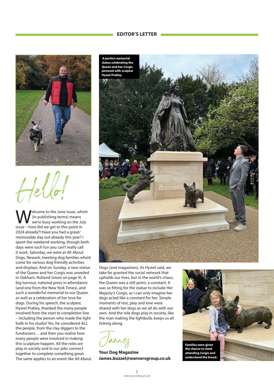 Your Dog Preview Pages