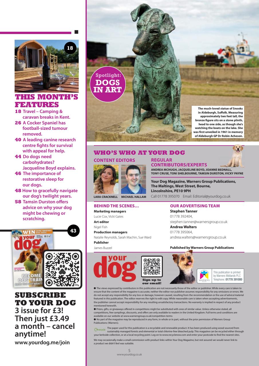 Your Dog Preview Pages