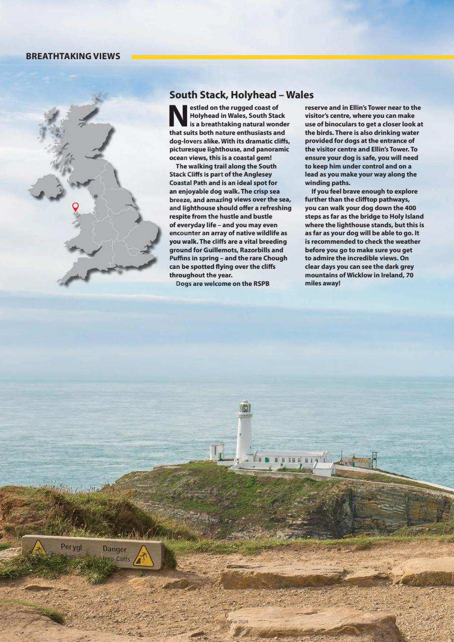 Your Dog Preview Pages