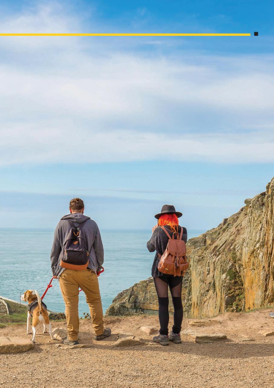 Your Dog Preview Pages