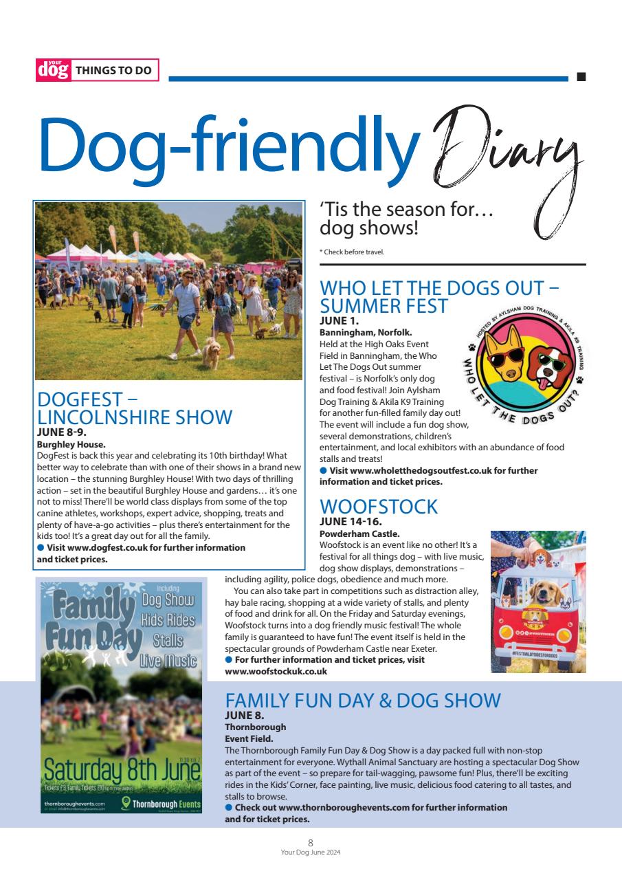 Your Dog Preview Pages