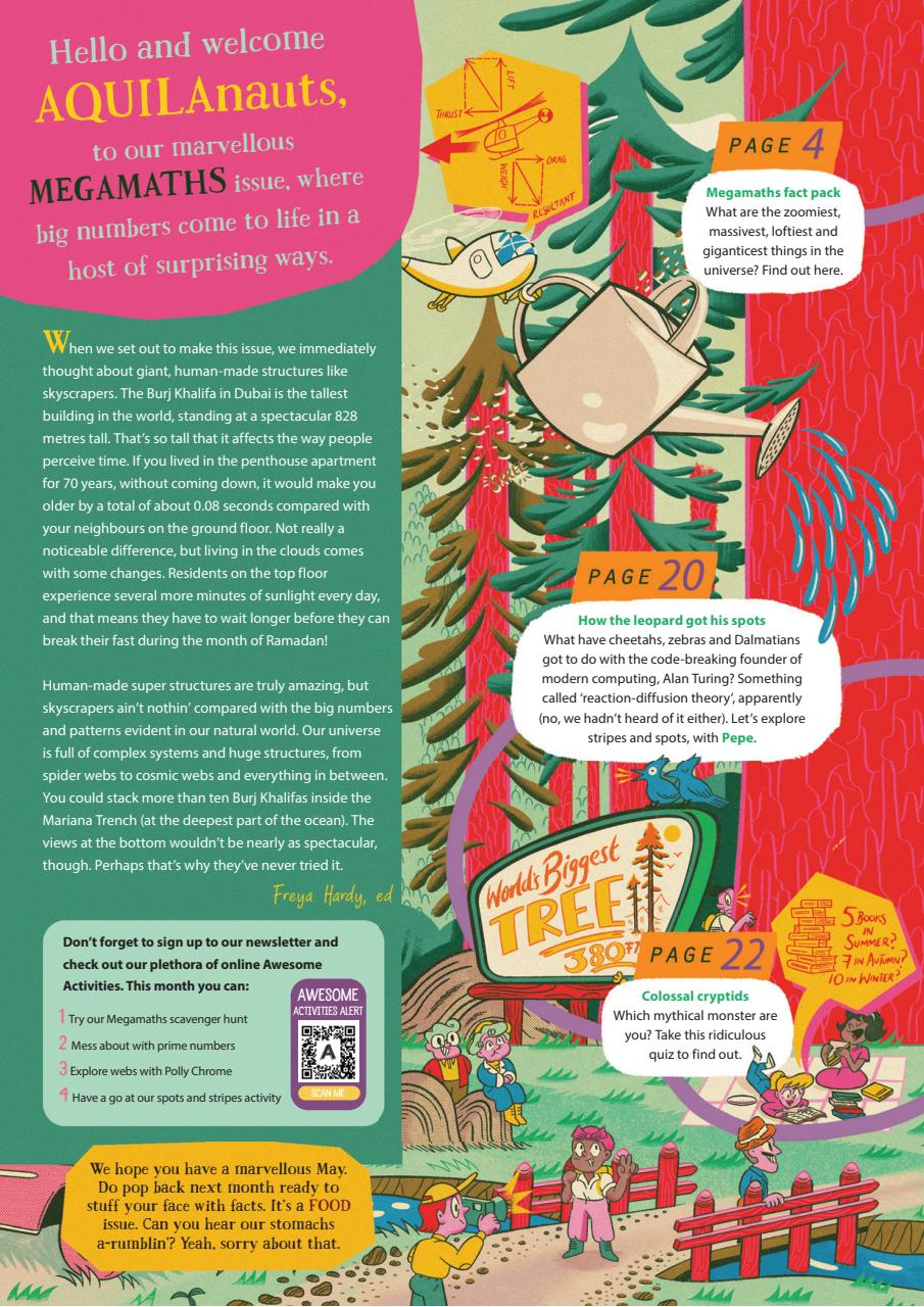 Aquila Preview Pages