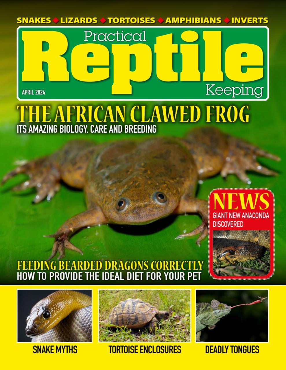Practical Reptile Keeping Preview Pages