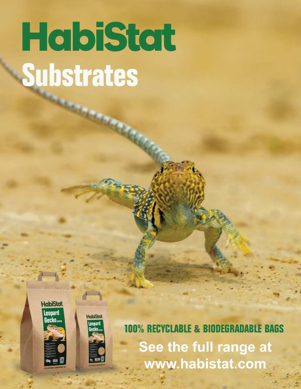 Practical Reptile Keeping Preview Pages