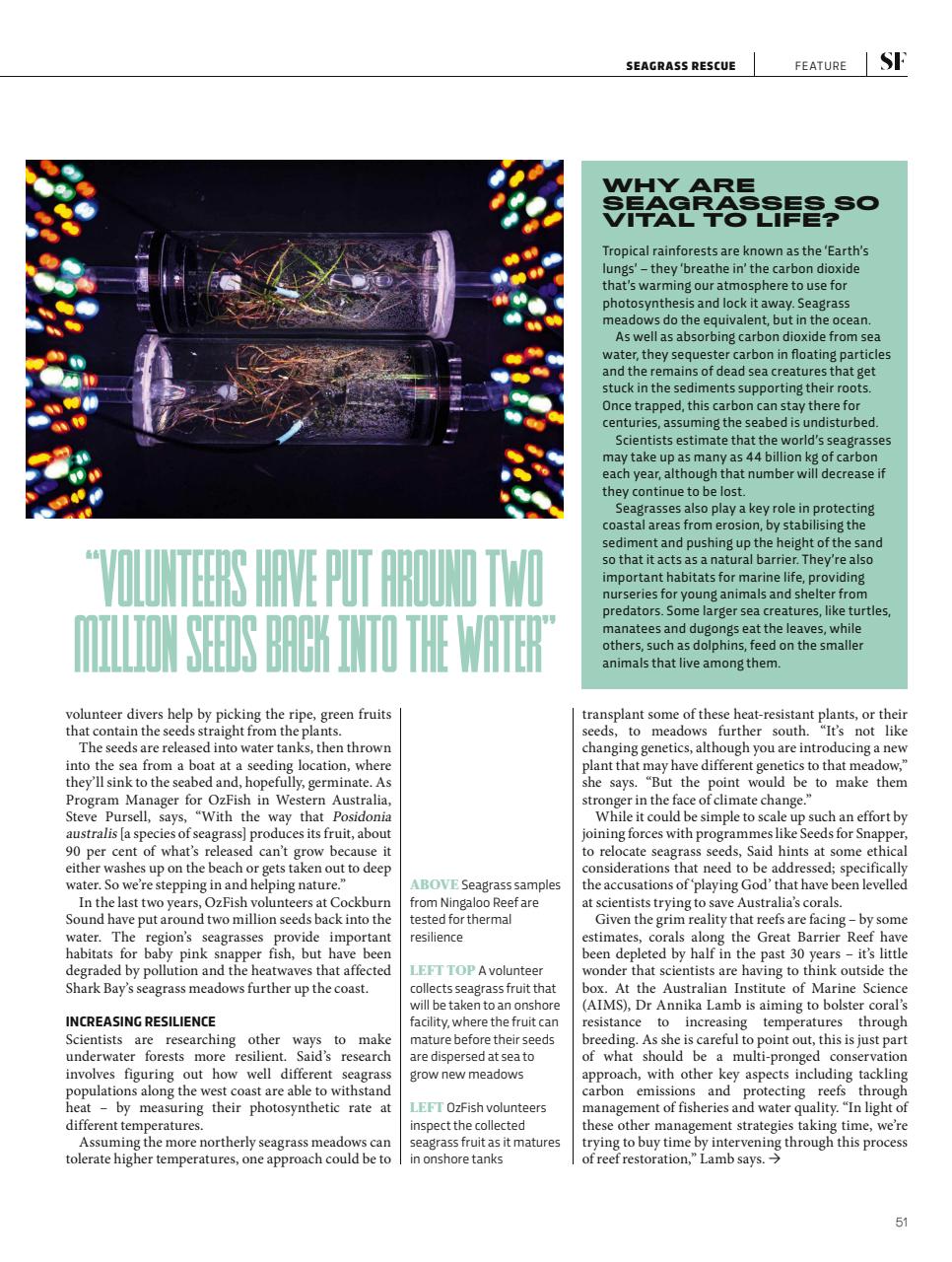 BBC Science Focus Magazine Preview Pages