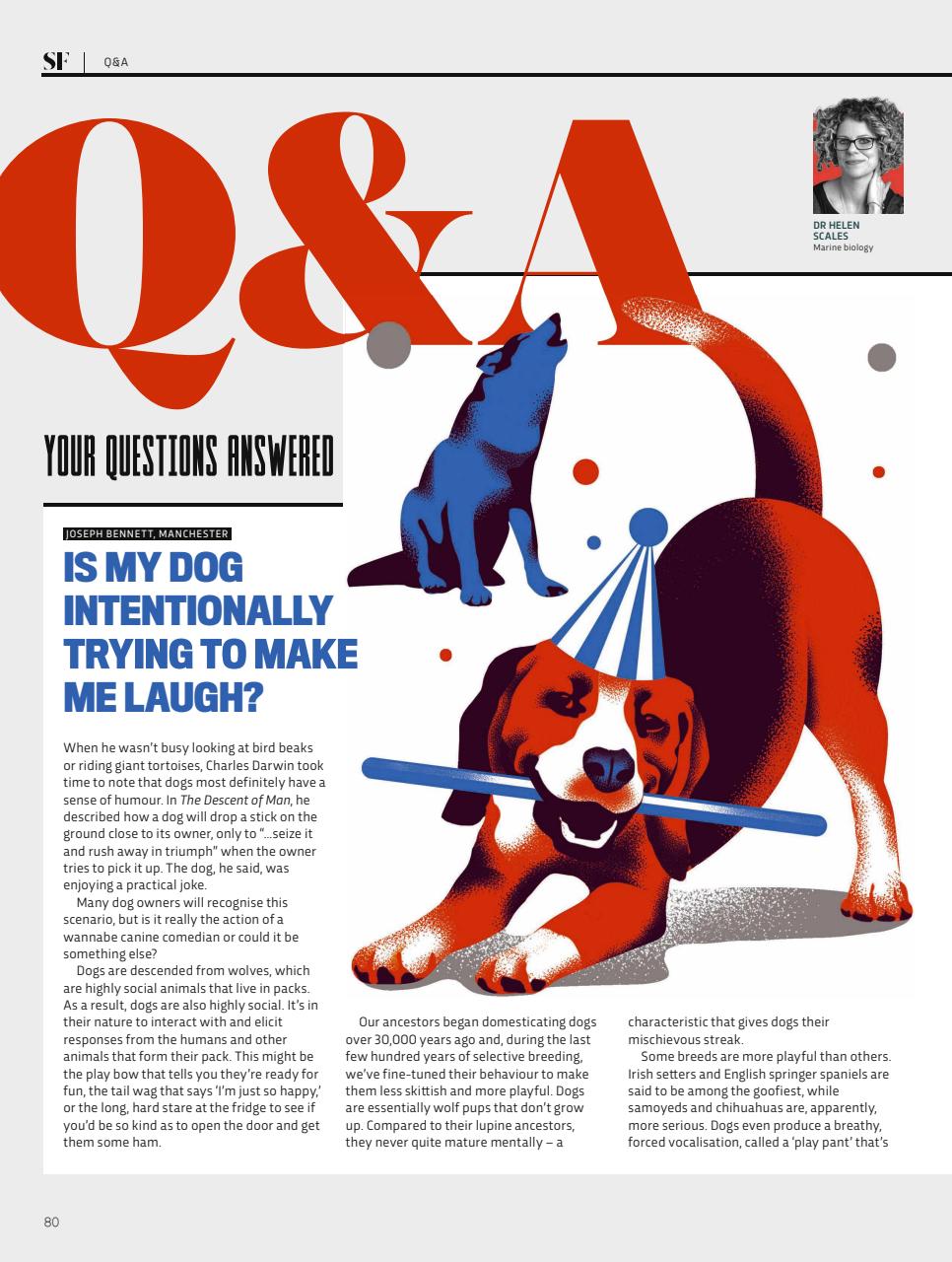 BBC Science Focus Magazine Preview Pages