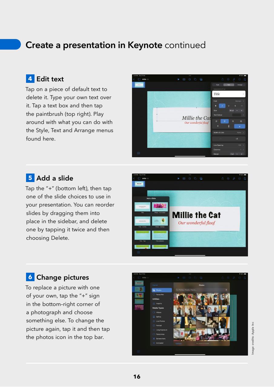 iPad User Preview Pages