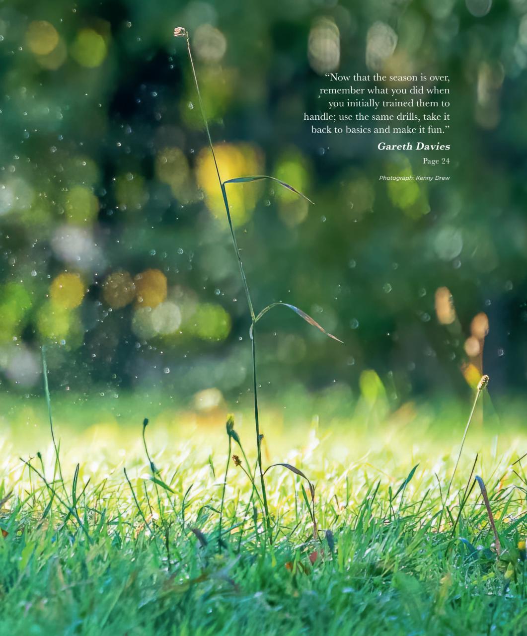 Gundog Journal Preview Pages