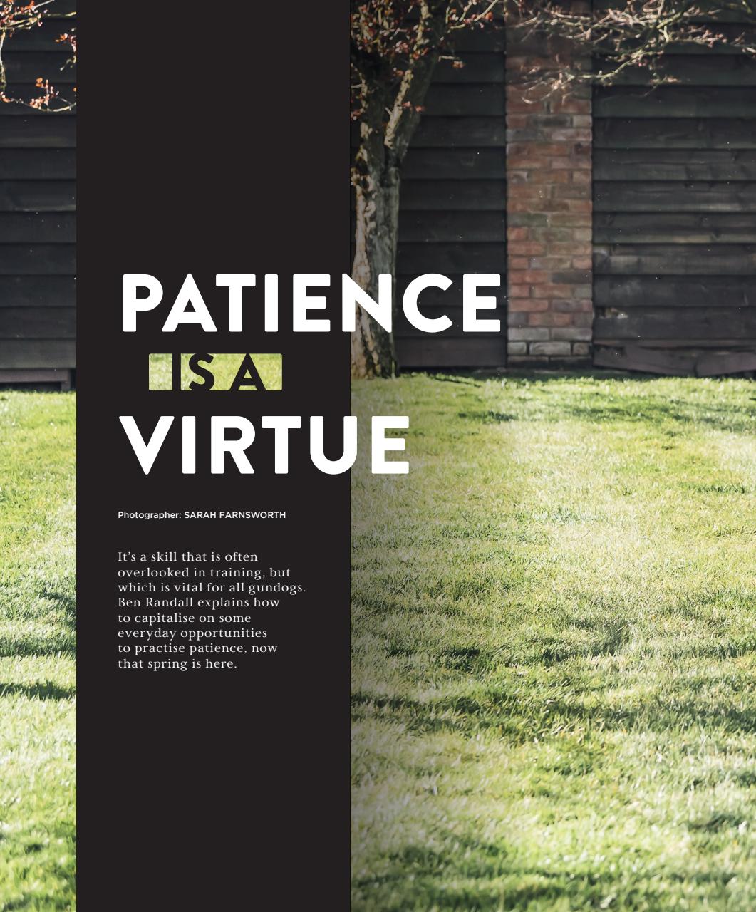 Gundog Journal Preview Pages