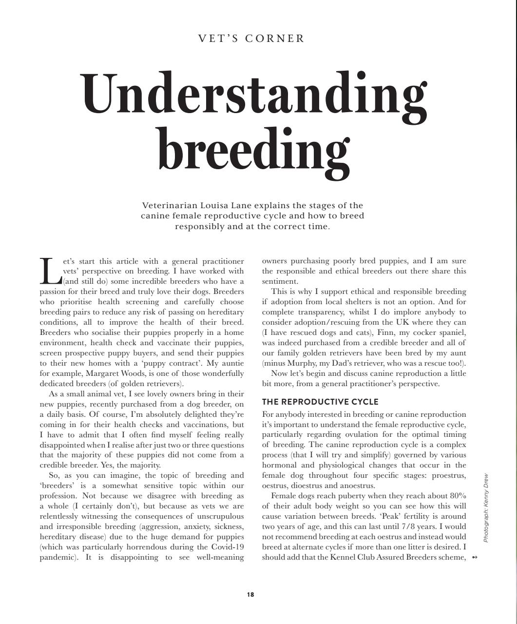 Gundog Journal Preview Pages