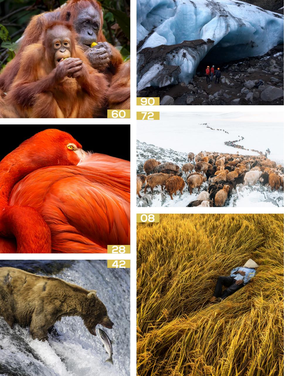 Lens Magazine Preview Pages