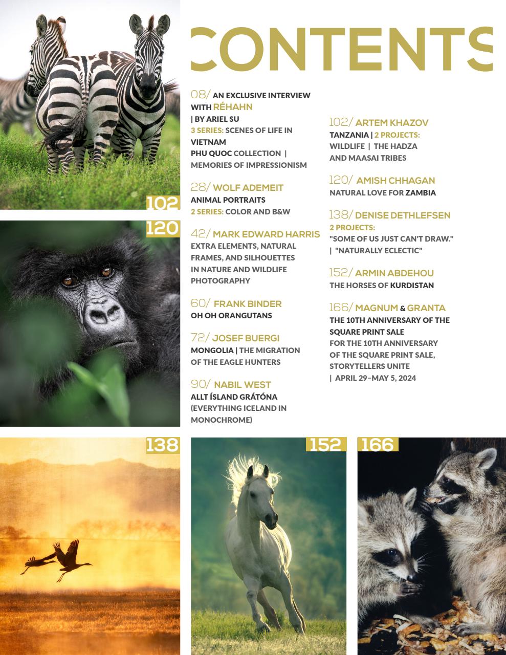 Lens Magazine Preview Pages