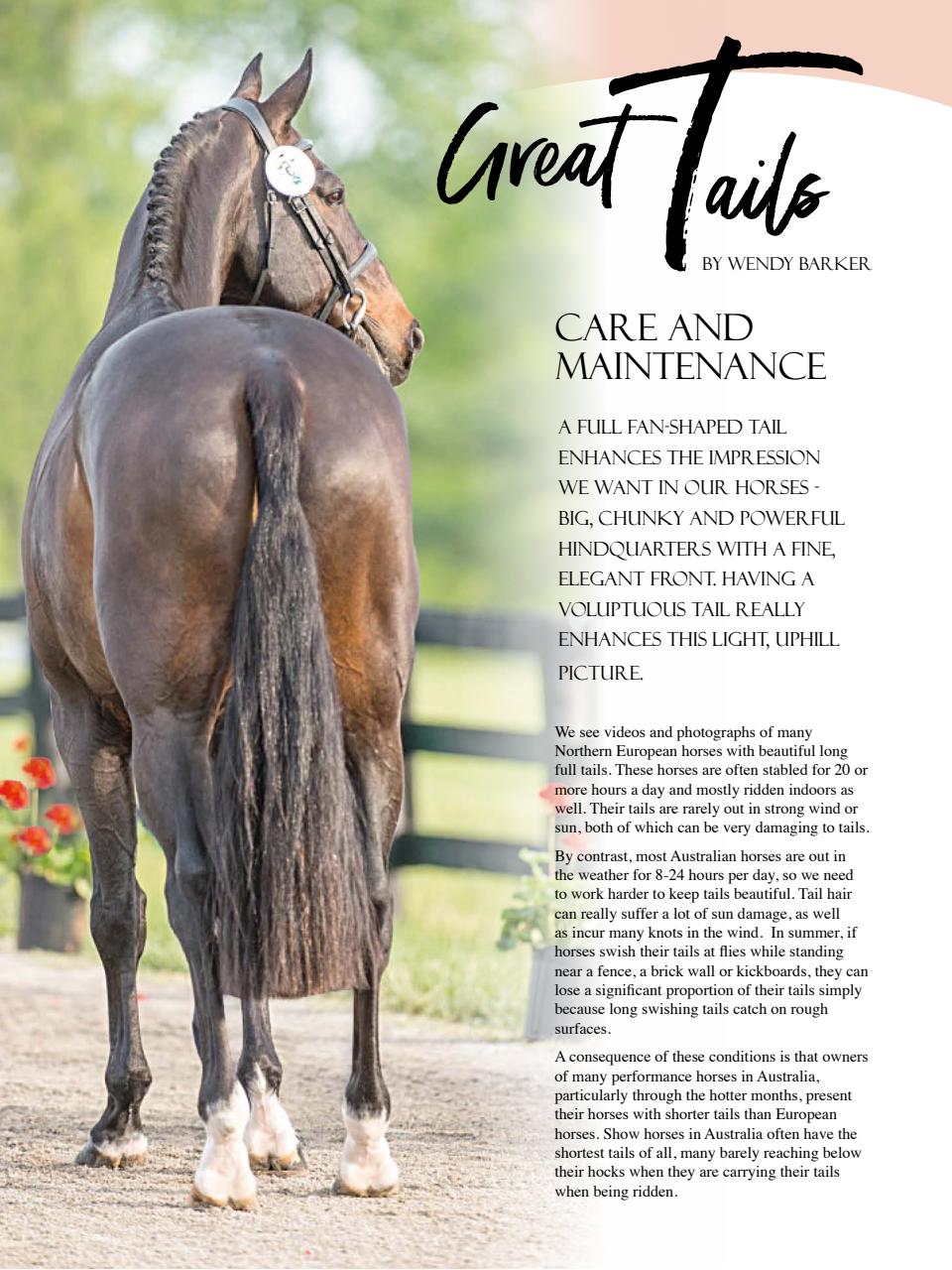 Hoofbeats Preview Pages