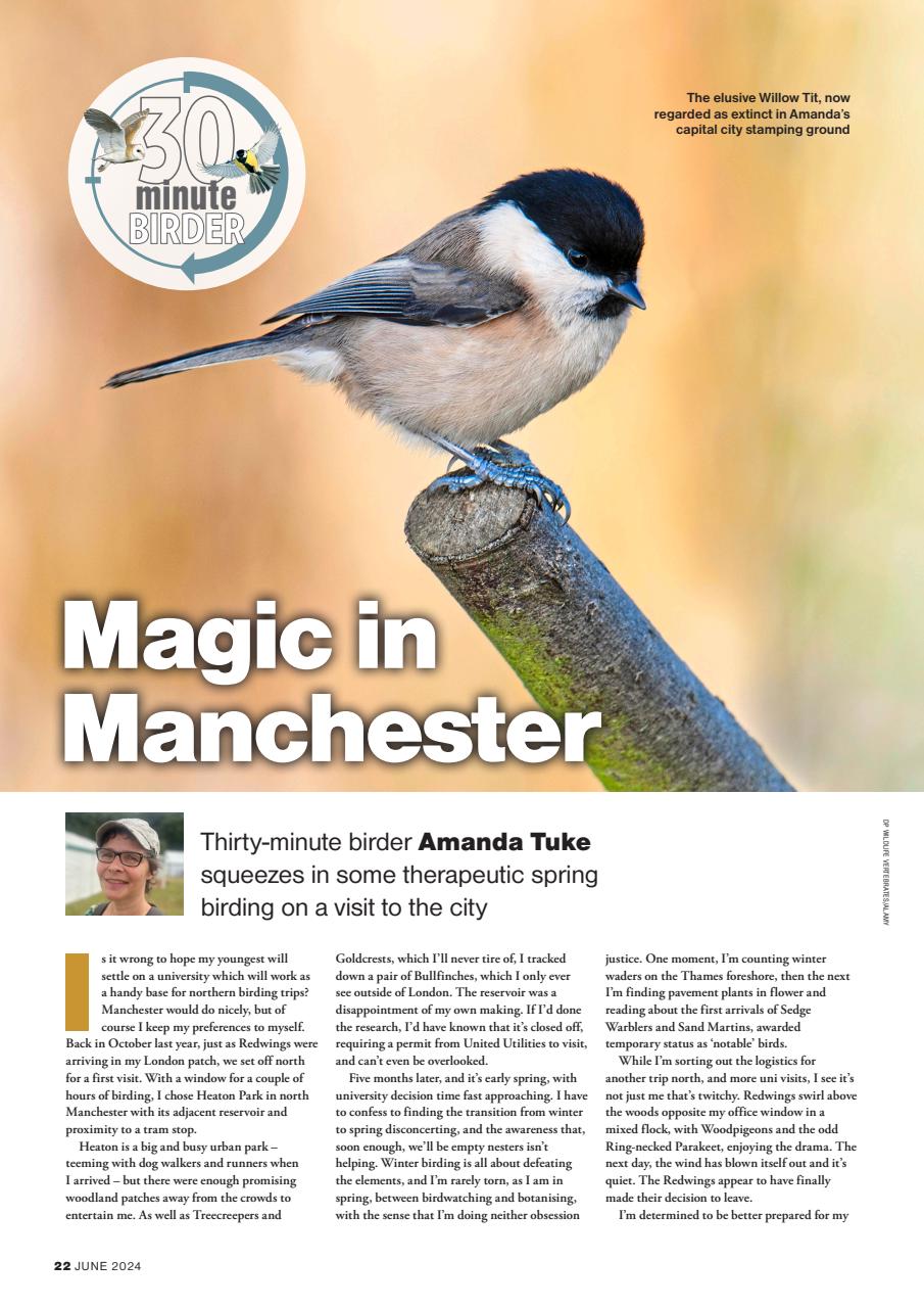 Bird Watching Preview Pages