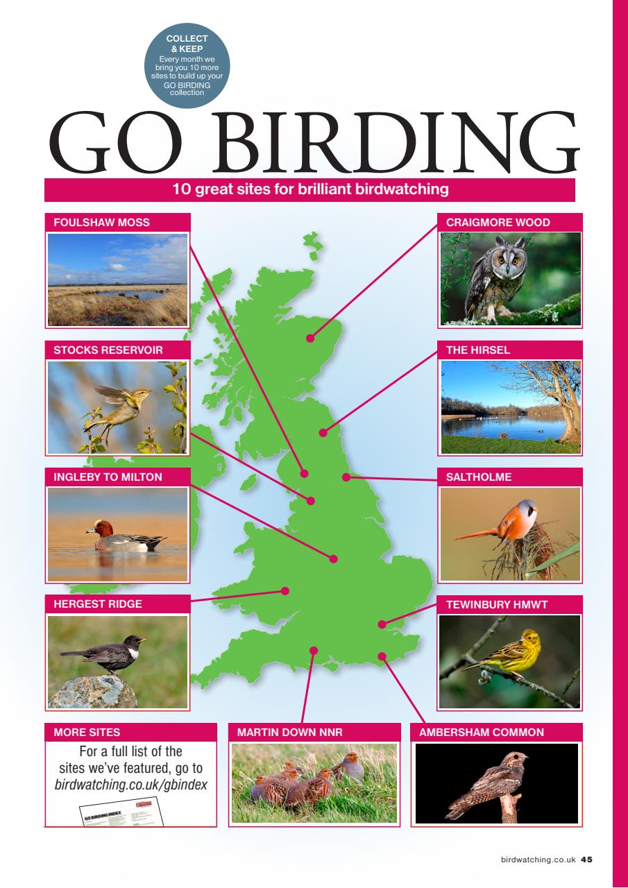 Bird Watching Preview Pages