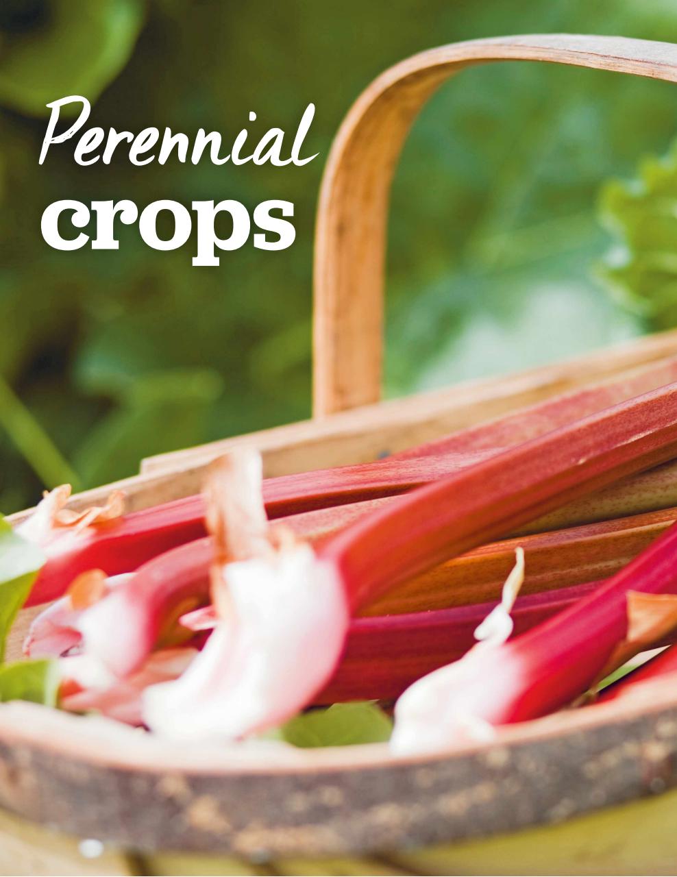 BBC Gardeners’ World Magazine Preview Pages