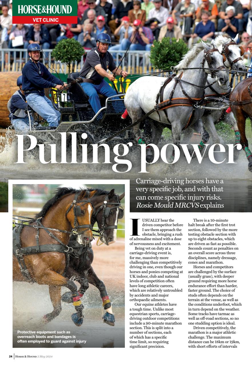 Horse & Hound Preview Pages