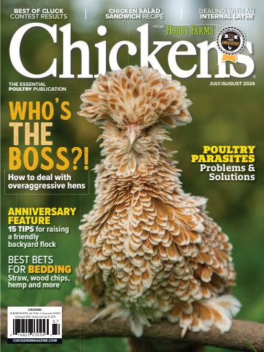 Chickens Magazine issue 