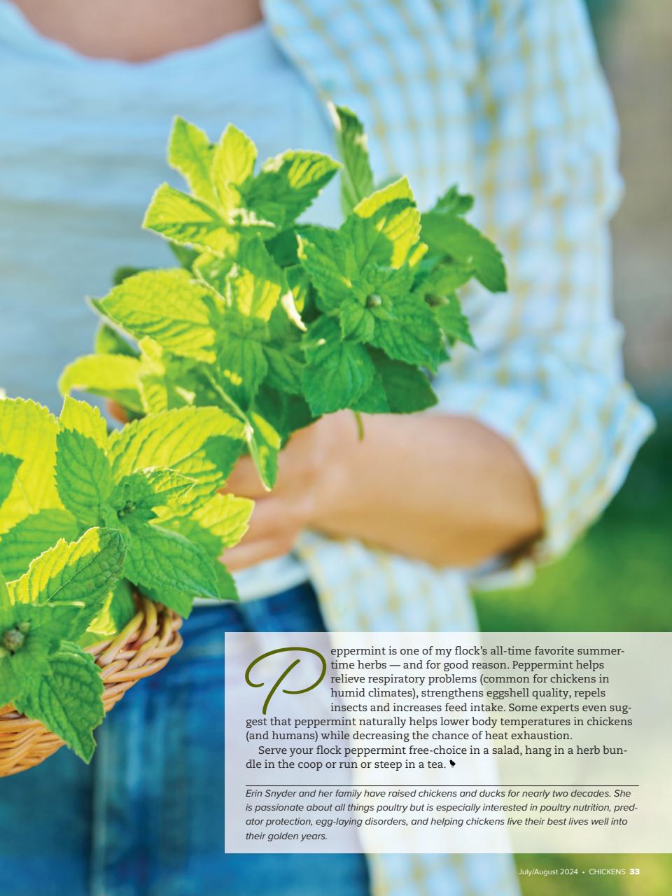 Chickens Magazine Preview Pages