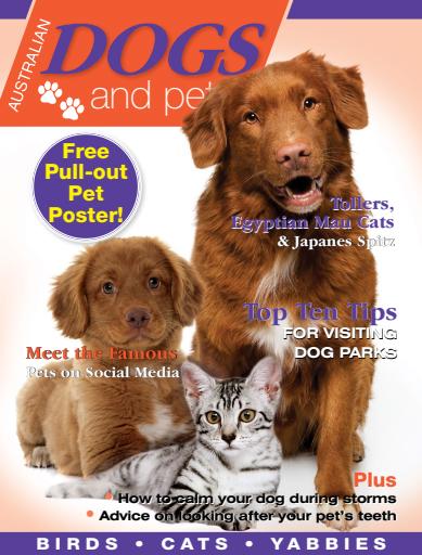 Dogs and Pets issue 