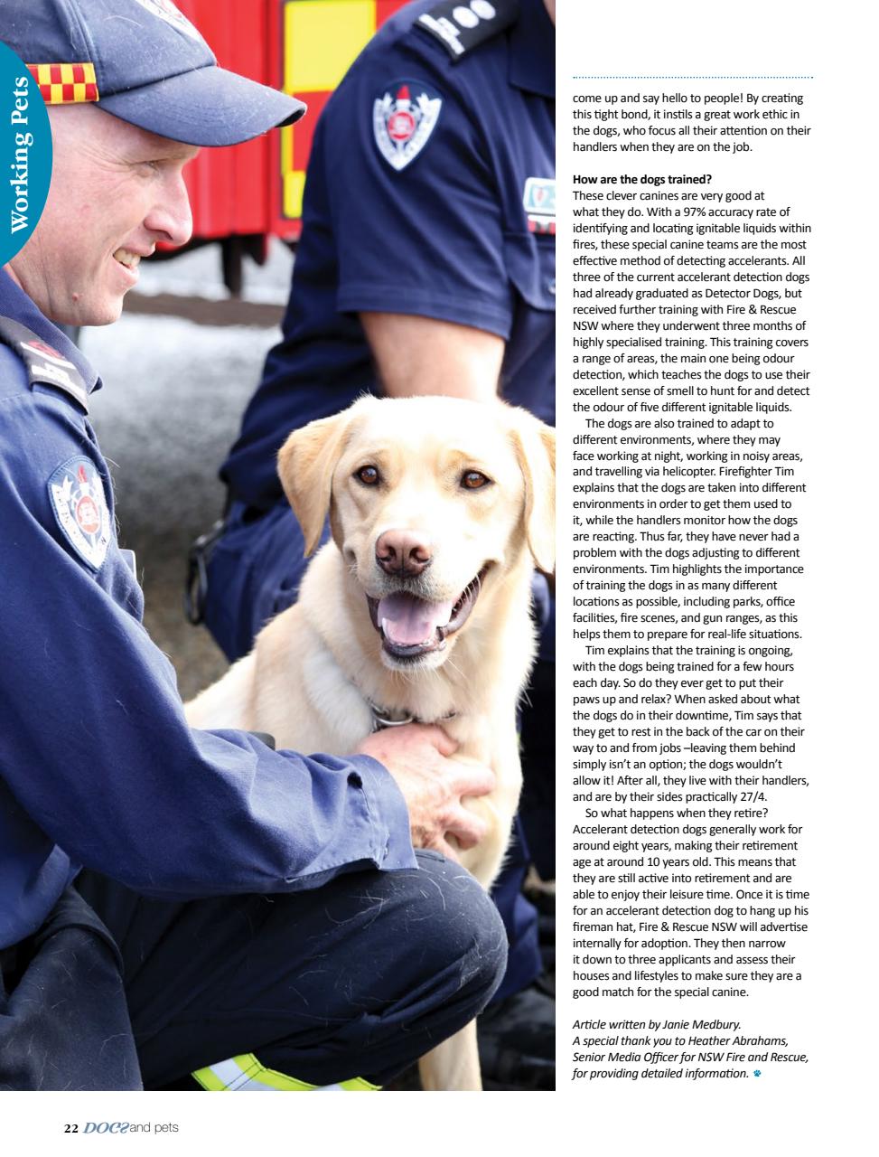 Dogs and Pets Preview Pages