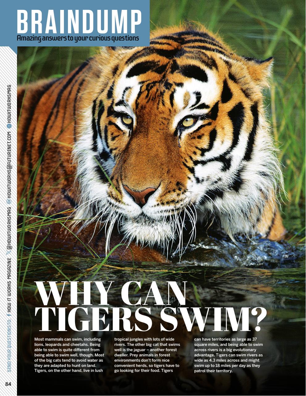 How It Works Preview Pages