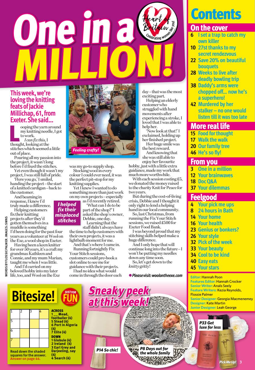 Pick Me Up Preview Pages